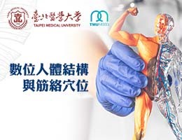 內壢高中-數位人體結構及經絡穴位（114專班）
