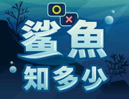 至善高中-鯊魚知多少（112專班）